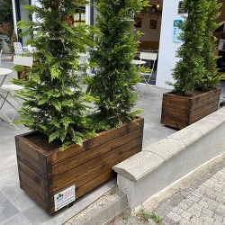 Ahşap 5/10 Saksı Kertme Saksı