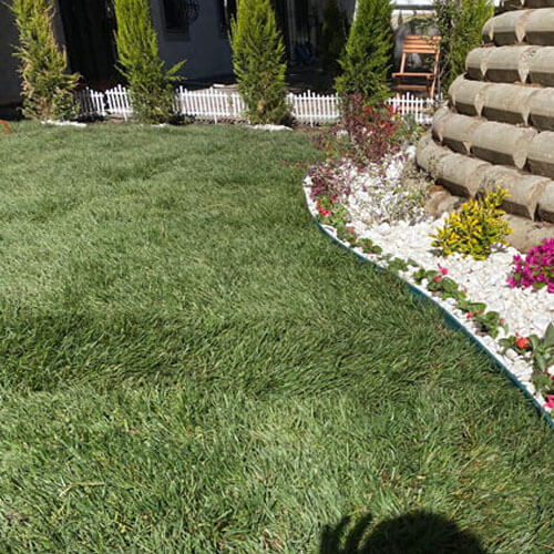 Hazır Rulo Çim, Serme Çim Ürün Satışı